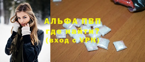 стаф Алексин