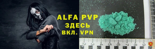стаф Алексин