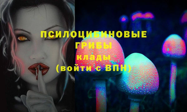стаф Алексин