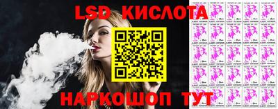 стаф Майкоп