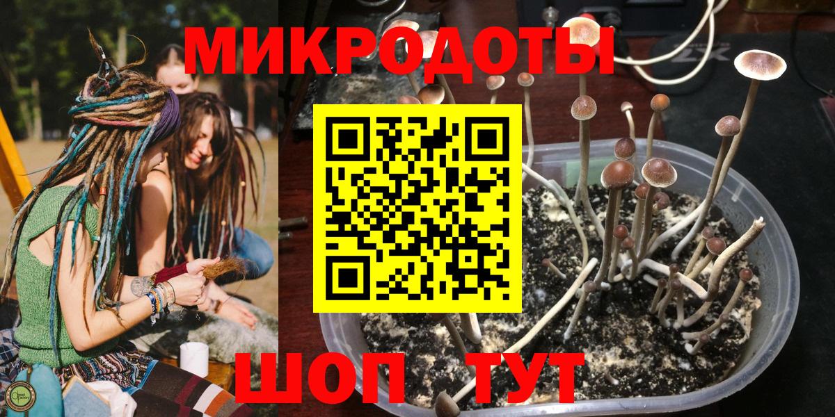 Псилоцибиновые грибы Cubensis  что такое   Сухой Лог  Псилоцибиновые грибы Psilocybe  Вход с VPN 